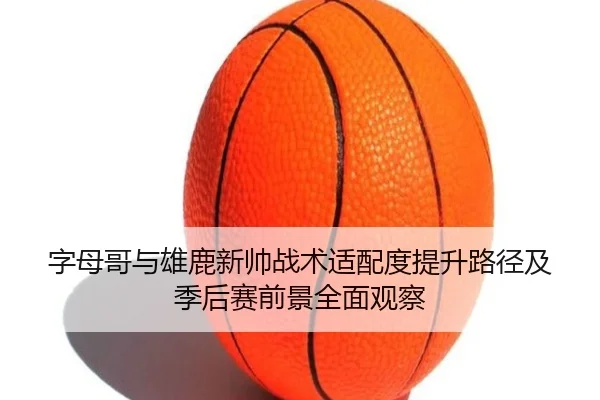 字母哥与雄鹿新帅战术适配度提升路径及季后赛前景全面观察